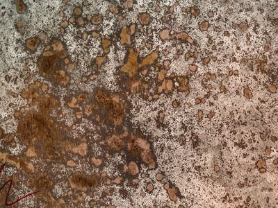 Professional water damage restoration services in Jupiter